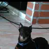 marthamabelbarr17 - @marthamabelbarragan - TikTok
