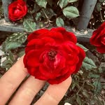 Mabel Barron - @mabebarr14 - Instagram