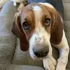 Mabel_the_bassest - @mabel_the_bassest - TikTok