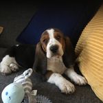 Mabel.bassett - @mabel.bassett2 - Instagram