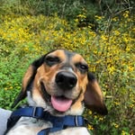 Mabel Bean - @missmabelbean - Instagram