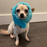 Mabel bean - @mabelbeanis - Instagram