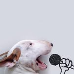 mabel bean - @mabelbean6 - Instagram