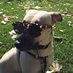 Mabel Bean aka Maybelline - @alabamabean - Instagram