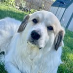 Mabel Beans - @mabelbeanz - Instagram
