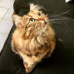 Mabel - @mabel_beans - Instagram