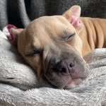 @mabelbean2023 - Instagram