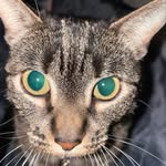 @mabelbean_ - Instagram