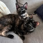 Mama Mabel Bean & Penny Pickles - @mabelbeanandpennypickles - Instagram
