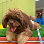 Mabel Belle - Facebook