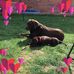Mabel Blackburn - Facebook