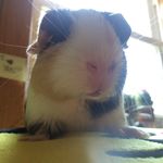 Mable Blair - @mablesblair - Instagram