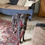 Mabel Bradley - Facebook