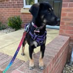Mabel Brady-Parkes - @mabels_marvellous_life - Instagram