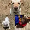 Mabel - @mabelbrady - TikTok