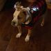Mabel Brewer - Facebook