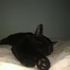 Mabel Brito - @mabelsbrito_ - TikTok