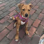 Mabel Brooks - @mabelonthego - Instagram
