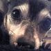 Mabel Buchanan - Facebook