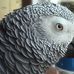 Mabel Buckley - Facebook