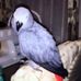 Mabel Buckley - Facebook