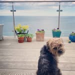 Mabel Collins-Burns - @mabels_adventures_borderlife - Instagram