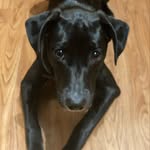 Mabel - @mabel_bannister_carroll - Instagram