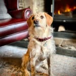 Mabel Carter - @mabels_tales - Instagram