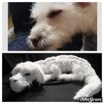 Mabel Carter-Humphreys’s - @mabelcarterhumphreys - Instagram