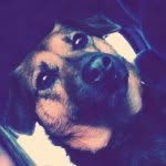 Mabel Casey - @mabelcaseyxo - Instagram