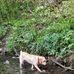 Mabel Chamberlain - Facebook