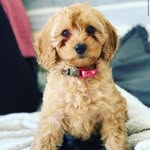 Mabel - @mabel_chaulk - Instagram