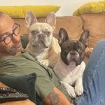 Mabel and Norman Clark - @mabel_the_frenchie21 - Instagram