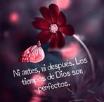 Mabel Clemente - Facebook