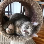 Mabel Clementine - @mabel.clementine - Instagram