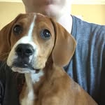 Mabel Clementine - @mabel_clementine - Instagram