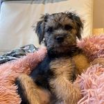 Mabel Collins-Burns - @mabels_adventures_borderlife - Instagram
