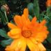 Mabel Conrad - Facebook