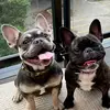 Couchpotatomabel - @couchpotatomabel - TikTok