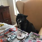 Mabel Elliott - @mabellovescrafts - Instagram