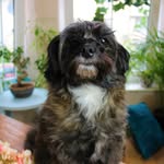 Mabel's Cottage Crafts - @mabelscottagecrafts - Instagram