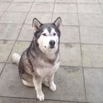 Mabel Craig - @mabelcraig1 - Instagram