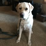 Jess Crownhart - @mabel_crownhart - Instagram
