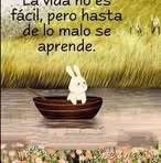 Mabel Daniel - Facebook