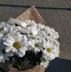 Mabel Daniel - Facebook