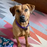 mabel 🐶 - @mabel_darling_ - Instagram