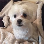 Mabel - @mabel_darling - Instagram