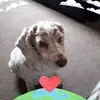 Mabel Dawson - @mabel.dawson05 - TikTok