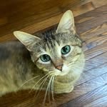 Mabel Day Fuqua - @mabeldayfuqua - Instagram