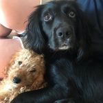 Mabel & Daisy Dempsey - @daisyandmabel - Instagram